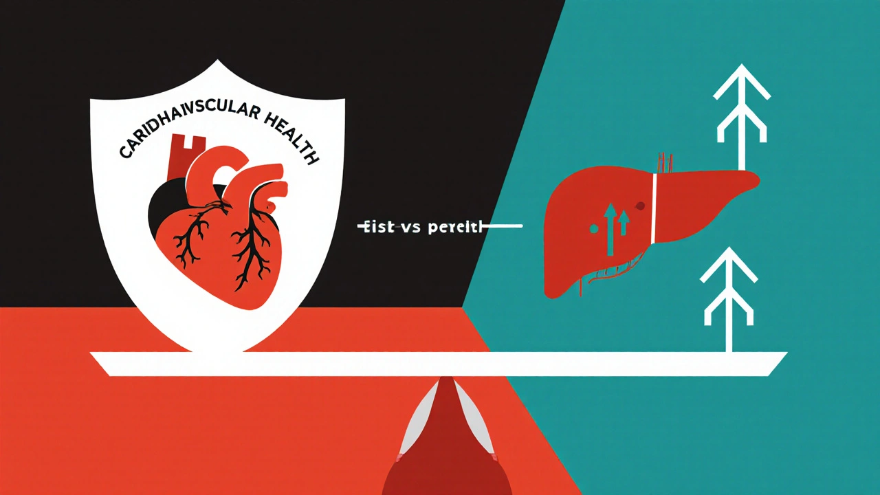 Bilancia che confronta salute cardiaca e livelli leggermente elevati di enzimi epatici in stile Bauhaus.